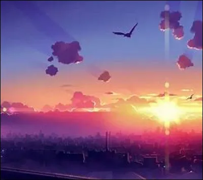 Quel est ton moment préféré de la journée ?