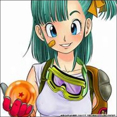 Qui est le premier amoureux de Bulma dans Dragon Ball ?
