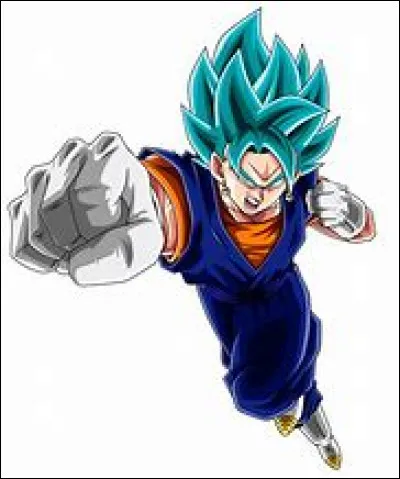 Quel est le nom de la fusion entre Son Goku et Vegeta avec les potalas ?