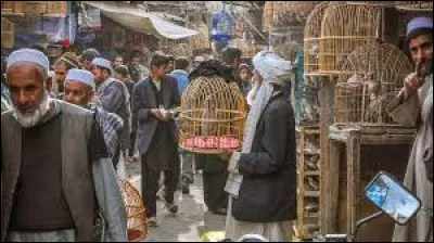 Qui a chanté "Manhattan-Kaboul" ?