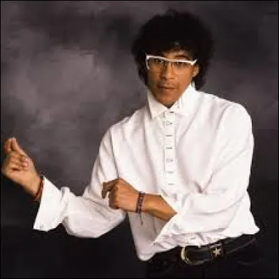 Qui a chanté "Rockellection" ?