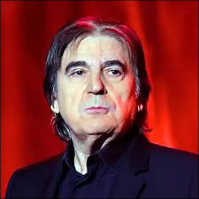 Qui a chanté "Je voudrais tant que tu sois là" ?