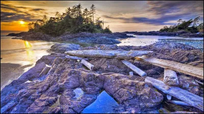 Je vous présente l'île de Vancouver. Vaste, peu peuplée et recouverte de forêts, cette île fait le bonheur des amoureux de la nature. Où est-elle située ?