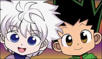 Qui est le meilleur ami de Gon Freecss ?