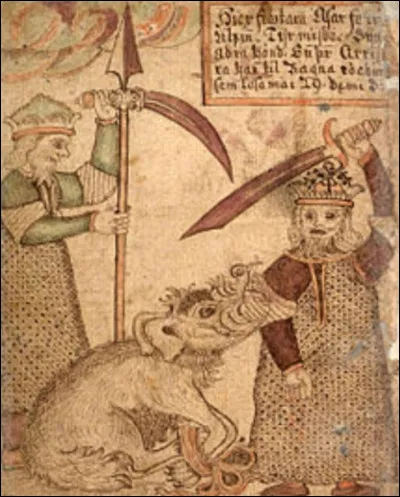 Quel membre perdit Zyo ?