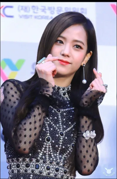 Parmi ces adjectifs, lesquels caractérisent le mieux Jisoo ?