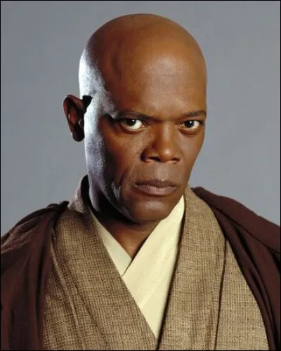 Qui interpr&egrave;te ma&icirc;tre Windu ?