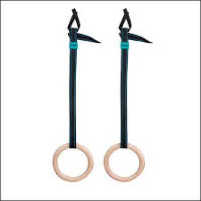 Dans quel sport utilise-t-on ces anneaux ?