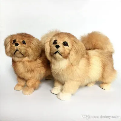 Ce sont un chien et une peluche que vous voyez !
