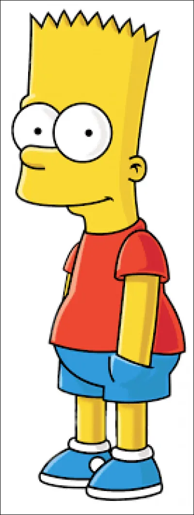 C'est l'a&icirc;n&eacute; de la famille Simpson.