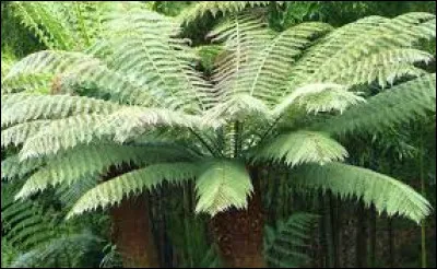 Faut-il l'exposer à l'abri du vent ?