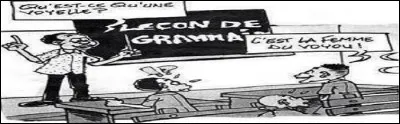 Tiens, il est un ouvrage majeur que des générations de potaches ont bien connu ! Mais aujourd'hui, il semblerait qu'il soit tombé dans les oubliettes !
C'est un lexicographe parisien du XIXe siècle qui le rédigea afin de mettre à la portée de tous la science de la conjugaison :