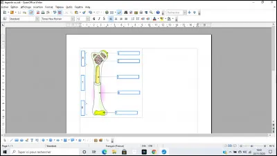 Quelle est la bonne légende ?