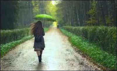 À quel groupe doit-on la chanson "Viens faire un tour sous la pluie" en 1975 ?