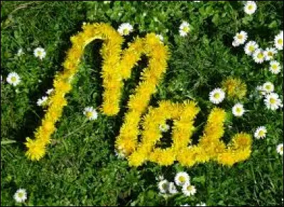 Comment dit-on le mois de "mai" en espagnol ?