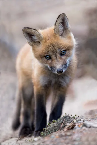 Confirmer une promesse !