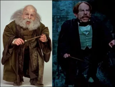 Qui est l'acteur qui joue le rôle de Filius Flitwick ?
