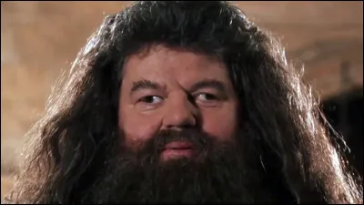 Qui est l'acteur qui interprète Rubeus Hagrid ?