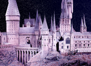 Test Dans quelle cole de Harry Potter es-tu ?