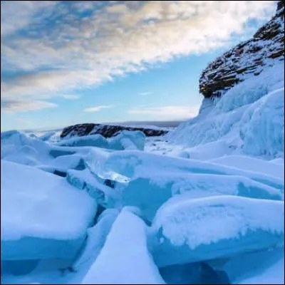Quel animal pr&eacute;historique aujourd'hui disparu a &eacute;t&eacute; d&eacute;couvert pour la premi&egrave;re fois congel&eacute; en Sib&eacute;rie en 1799 ?