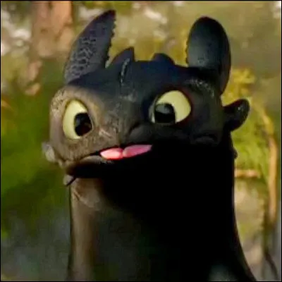 À quoi Krockmou ressemble-t-il ?