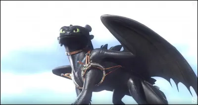 Choisis les 3 bonnes caractéristiques de Krockmou qui font de lui un furie nocturne.