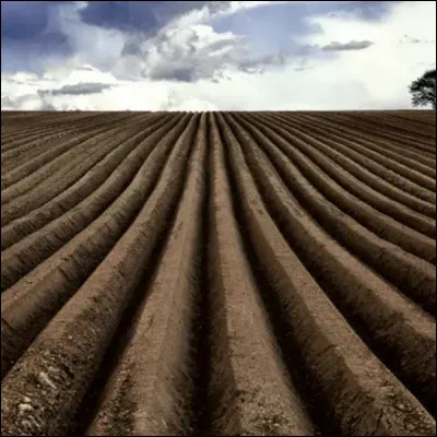 Tranchée laissée par le soc....