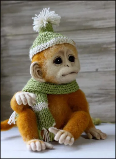 Mignon ce petit singe non ?