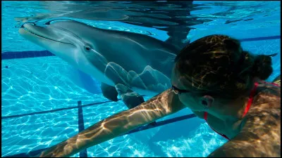 Cet animal est un robot !