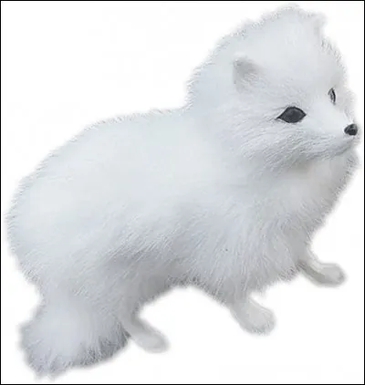 Cet animal est un renard polaire appelé aussi isatis !