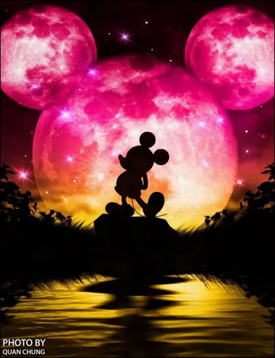 Ton héros Disney favori est :