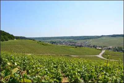 Toujours en France, quelle est cette commune de la Marne dominée par les côteaux viticoles et réputée pour sa production de champagne ?