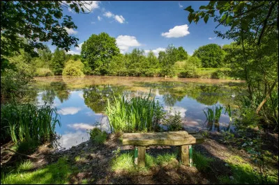 Toujours en Belgique, voici As, commune du nord-est du pays, en Province de Limbourg, située non loin de la frontière :