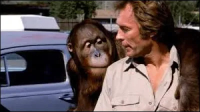 Qui joue dans "Doux, Dur et Dingue" ?