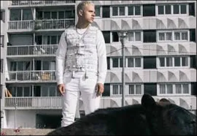 Quel rappeur a connu un succès avec sa chanson "Dingue" ?