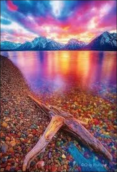 Quelle est ta couleur favorite ?