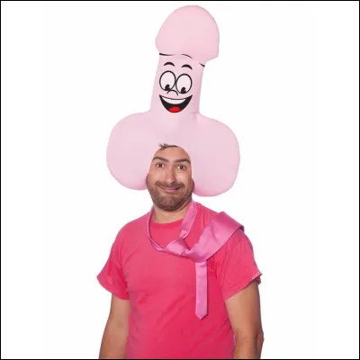 "Tu veux mon zizi " est une chanson de...