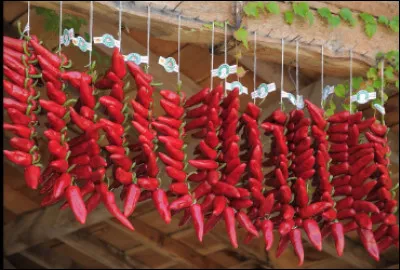 Quelle est la ville des piments ?