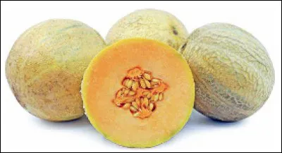 Quelle est la ville du melon ?