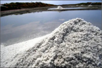 Quelle est la ville du sel ?