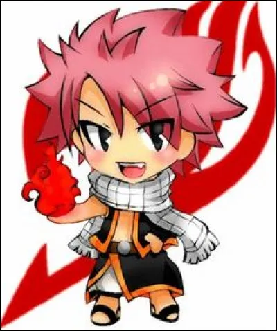 Natsu est un chasseur de dragons...