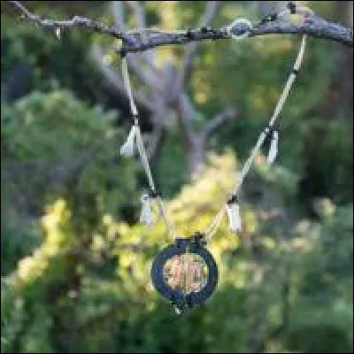 Tu trouves un collier d'immunit&eacute;, quelle est ta r&eacute;action ?