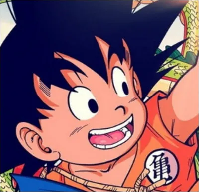 Quelle boule de cristal possède-t-il ?