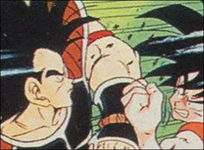 Qui est Raditz pour lui ?