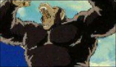 Combien de fois s'est-il transformé en Oozaru (y compris dans les films) ?