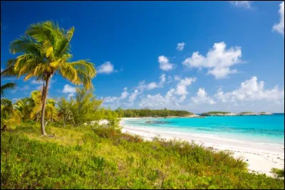 Histoire  Quel peuple amérindien Christophe Colomb a-t-il rencontré sur une île bahaméenne ?