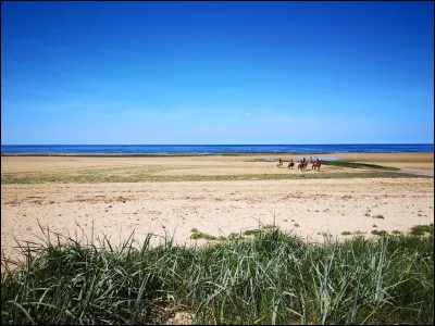 Quelle actrice accompagne Leonardo DiCaprio dans le film "La Plage" ?