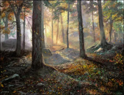 À qui doit-on le roman "L'Appel de la forêt" ?