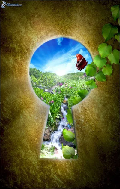 Toujours aux WC publics. Tu essayes d'ouvrir la porte, mais sans succès ! Que fais-tu ?