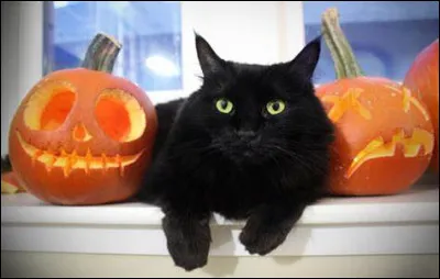 Et les Américains, que disent-ils ? (question aussi de logique)